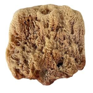 Large Natural Unbleached Sea Sponge 7" x 7" x 2"